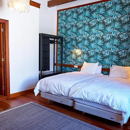 Platanera Icod De Los Vinos