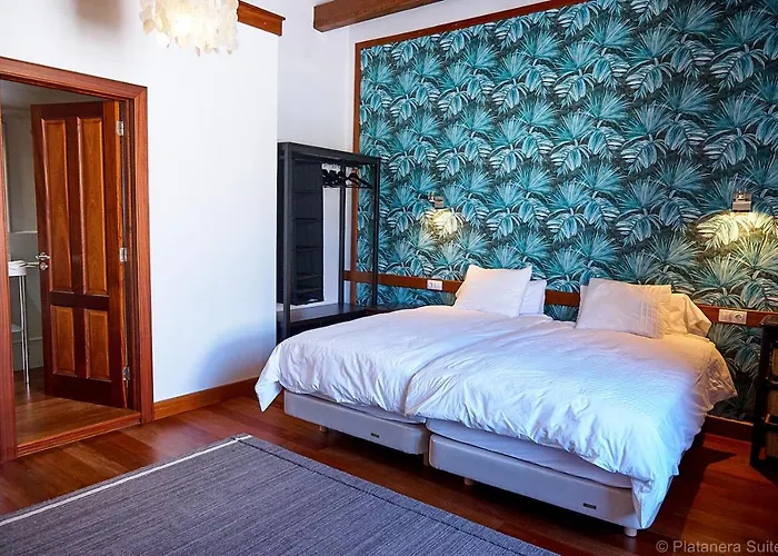 Platanera Icod De Los Vinos