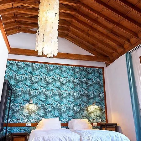 Platanera Lejlighedshotel Icod De Los Vinos